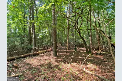 10.59Ac T S Jarrard Road, Dahlonega, GA 30533 - Photo 9