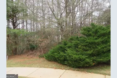 710 Donner Court, McDonough, GA 30252 - Photo 3