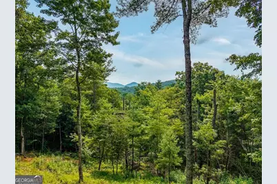 120 Bell Camp Ridge Road, Blue Ridge, GA 30513 - Photo 3