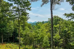 120 Bell Cp Rdg Rd, Blue Ridge, GA 30513 - Photo 3