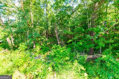 253 Price Road, Pine Mountain, GA 31822 - Photo 75