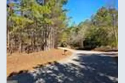 0 Daniel Road, Villa Rica, GA 30180 - Photo 3