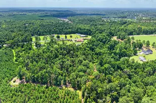 5281 US Hwy 221, Soperton, GA 30457 - Photo 9