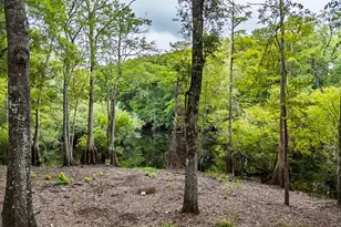 131 High Bluff Rd, Rincon, GA 31326 - Photo 49