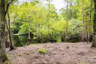 131 High Bluff Rd, Rincon, GA 31326 - Photo 51