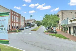 215 Grey Fairs Ave, Senoia, GA 30276 - Photo 73