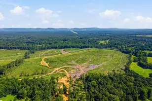 0 Blacks Bluff Rd, Cave Spring, GA 30124 - Photo 1