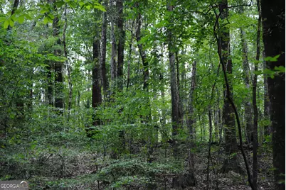 4509 Sr 18 Highway, West Point, GA 31833 - Photo 11