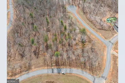 Lot 162 Ridge Drive, Morganton, GA 30560 - Photo 7