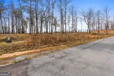Lot 162 Ridge Drive, Morganton, GA 30560 - Photo 11