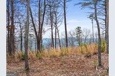 Lot 162 Ridge Drive, Morganton, GA 30560 - Photo 1