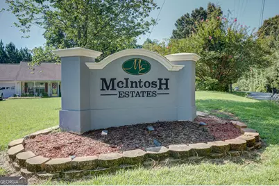 25 McIntosh Estates Drive, Sharpsburg, GA 30277 - Photo 7
