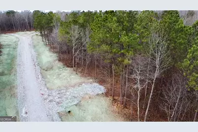 Lot 14 Berry Road, Barnesville, GA 30204 - Photo 3