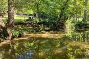 300 Chapman Ln, Blairsville, GA 30512 - Photo 41