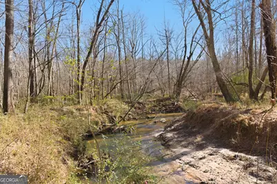0 Davis Road, Eastanollee, GA 30538 - Photo 13