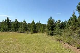 0 Dixon Rd, Dublin, GA 31021 - Photo 1