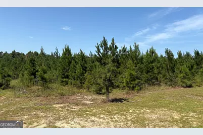 0 Dixon Road, Dublin, GA 31021 - Photo 9
