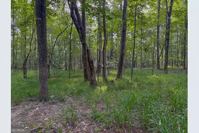 1709 Poplar Ridge Road, Ellaville, GA 31806 - Photo 59