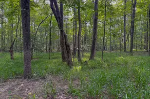 1709 Poplar Ridge Rd, Ellaville, GA 31806 - Photo 59