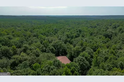 1709 Poplar Ridge Road, Ellaville, GA 31806 - Photo 61