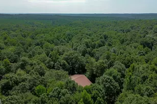 1709 Poplar Ridge Rd, Ellaville, GA 31806 - Photo 61