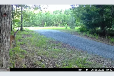 1709 Poplar Ridge Road, Ellaville, GA 31806 - Photo 63