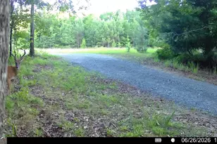 1709 Poplar Ridge Rd, Ellaville, GA 31806 - Photo 63