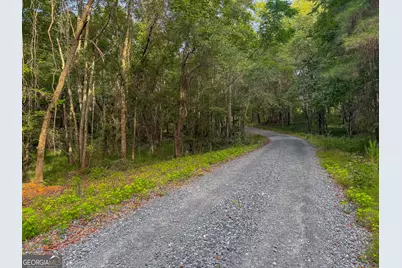 1709 Poplar Ridge Road, Ellaville, GA 31806 - Photo 5