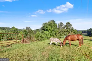 7118 Old 441 S, Lakemont, GA 30552 - Photo 85