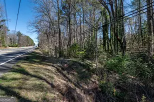 1695 Old Canton Rd, Ball Ground, GA 30107 - Photo 43