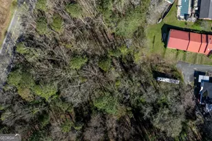 1695 Old Canton Rd, Ball Ground, GA 30107 - Photo 9