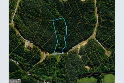 Lot 37 Eastside Drive, Ellijay, GA 30536 - Photo 3