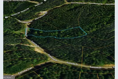 Lot 37 Eastside Drive, Ellijay, GA 30536 - Photo 1