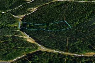 Lot 37 Eastside Dr, Ellijay, GA 30536 - Photo 1