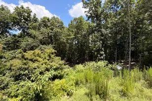 1657 Chubb Road SW, Cave Spring, GA 30124 - Photo 15