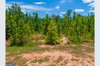47 Acres Cochran Road, Madison, GA 30650 - Photo 33