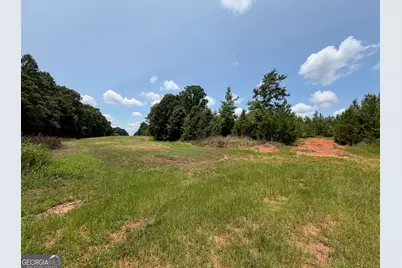 47 Acres Cochran Road, Madison, GA 30650 - Photo 23