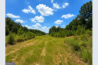 47 Acres Cochran Road, Madison, GA 30650 - Photo 9