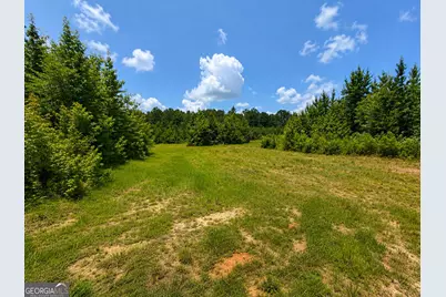 47 Acres Cochran Road, Madison, GA 30650 - Photo 11