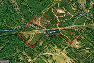 47 Acres Cochran Rd, Madison, GA 30650 - Photo 1
