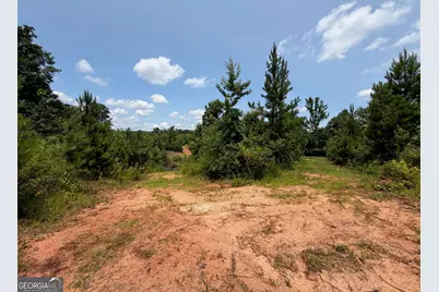 47 Acres Cochran Road, Madison, GA 30650 - Photo 19