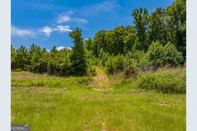 47 Acres Cochran Road, Madison, GA 30650 - Photo 29