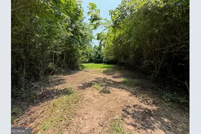 47 Acres Cochran Road, Madison, GA 30650 - Photo 5