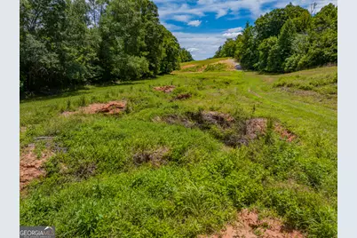 47 Acres Cochran Road, Madison, GA 30650 - Photo 11
