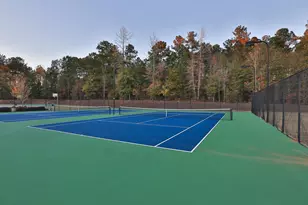 20 Shelton Ct, Senoia, GA 30276 - Photo 47