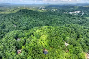 412 Mountain Tops Cir, Blue Ridge, GA 30513 - Photo 67