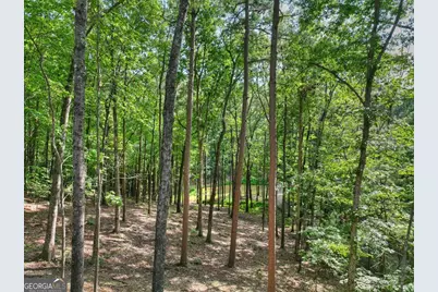 412 Mountain Tops Circle, Blue Ridge, GA 30513 - Photo 63
