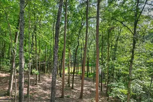 412 Mountain Tops Cir, Blue Ridge, GA 30513 - Photo 63