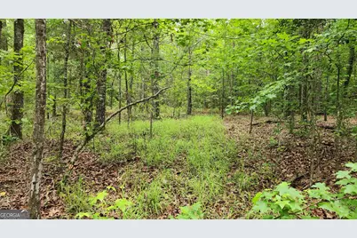 143 Highway 341 S, Barnesville, GA 30204 - Photo 11