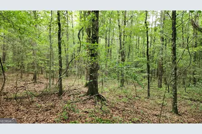 143 Highway 341 S, Barnesville, GA 30204 - Photo 5